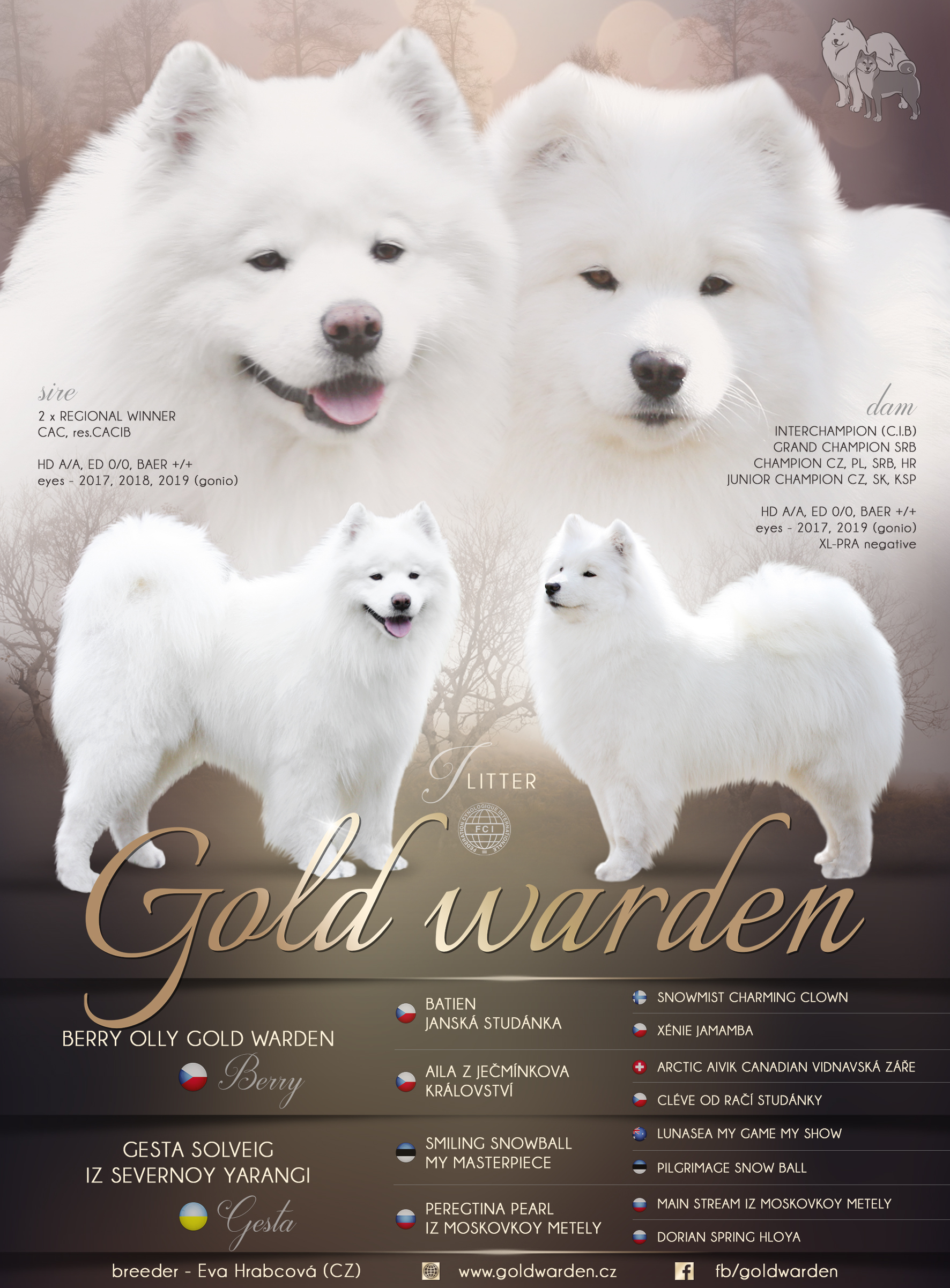 samojed I